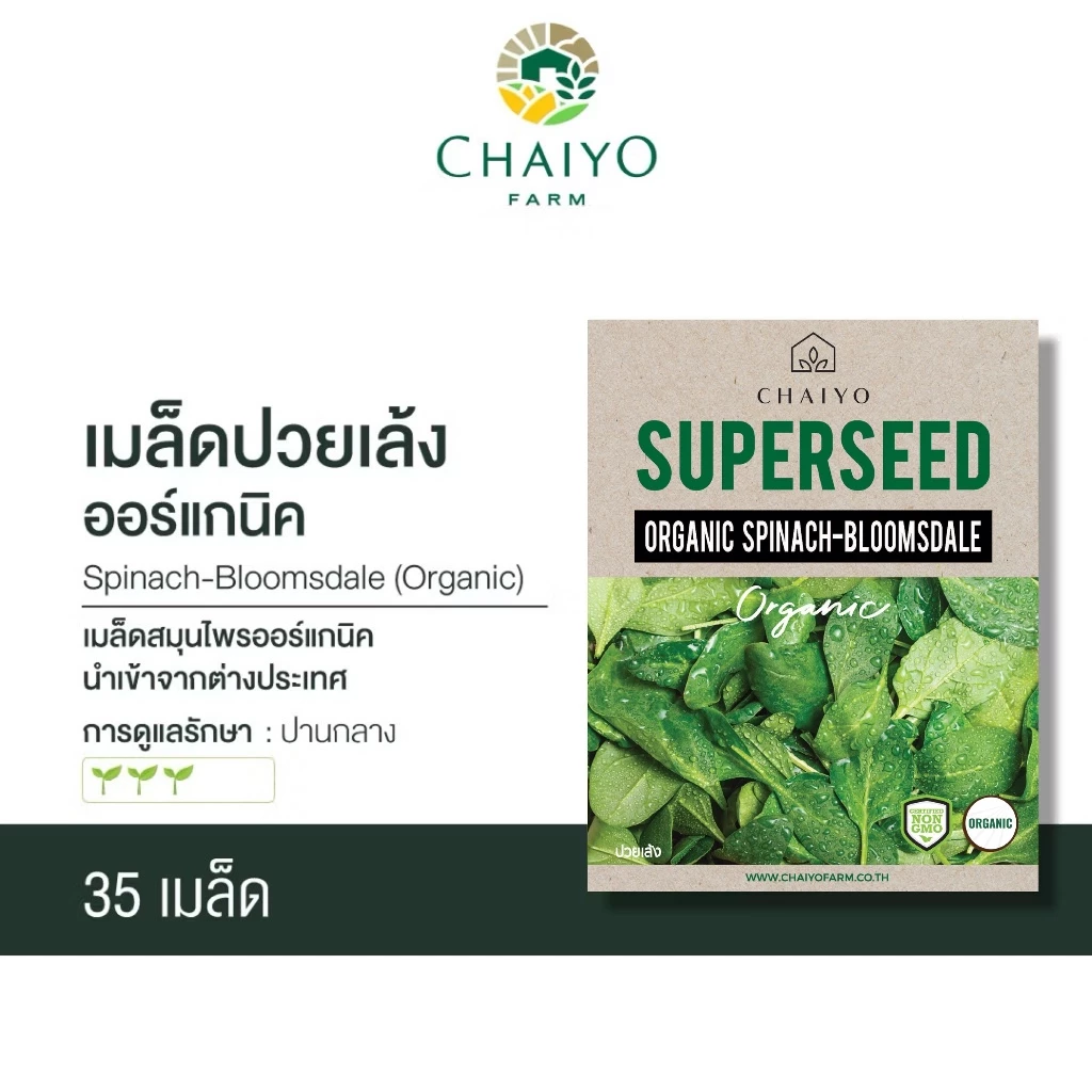 เมล็ด SPINACH-Bloomsdale (Organic) ปวยเล้ง ออร์แกนิค