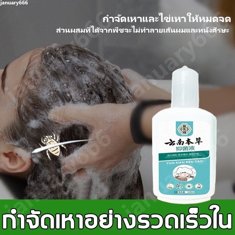 แชมพูกำจัดเหา กําจัดเหาทั้งหมด  กําจัดเหาและไ จากสมุนไพร เหมาะสําหรับเด็กและหญิงตั้งครรภ์ ขจัดเหาและไข่เหาได้ถึง 99%
