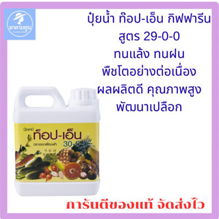 ปุ๋ยน้ำ ปุ๋ย ท็อปเอ็น กิฟฟารีน ทนแล้ง ทนฝน ทนหนาว ติดลูกดก