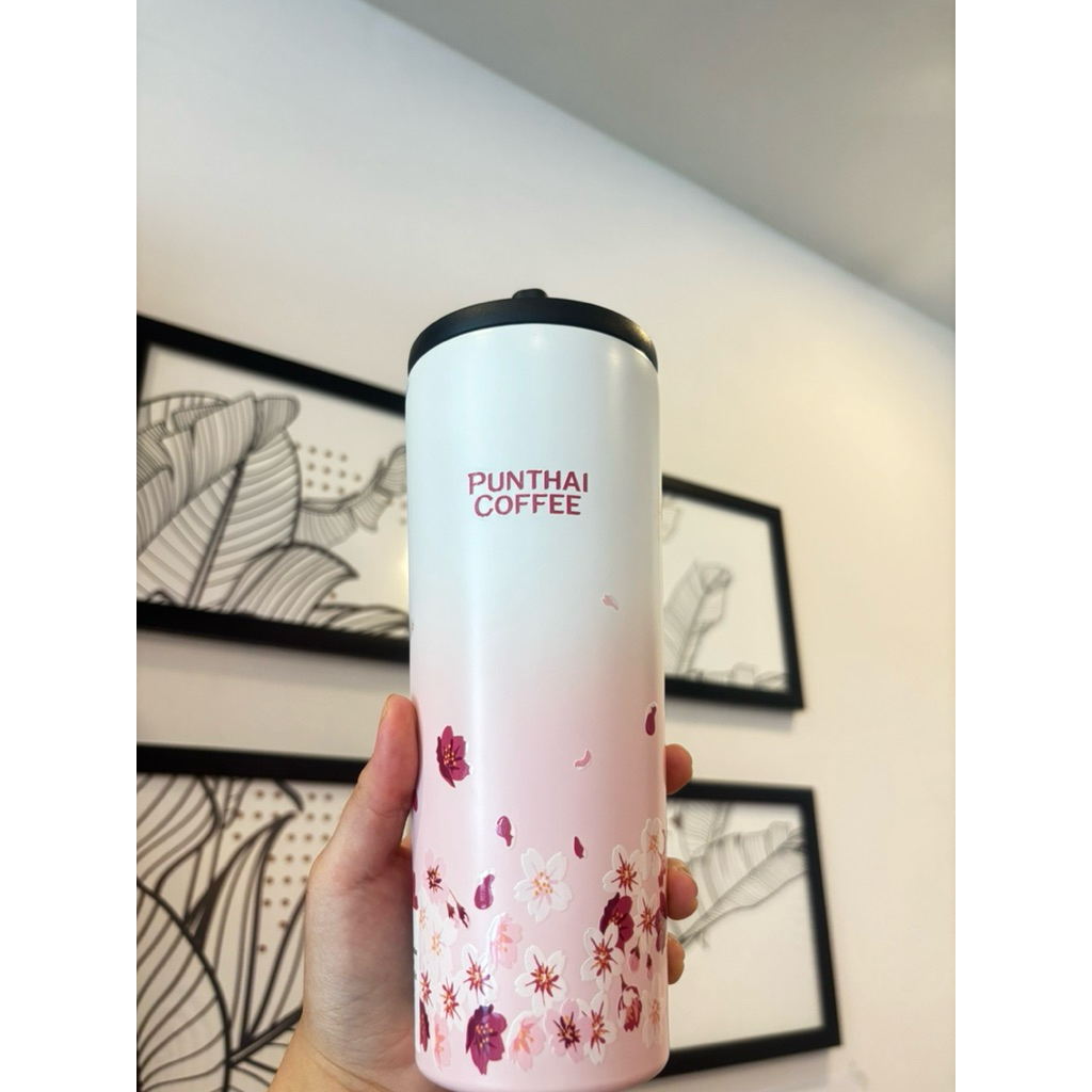 Punthai แก้วซากุระ 🌸🌸