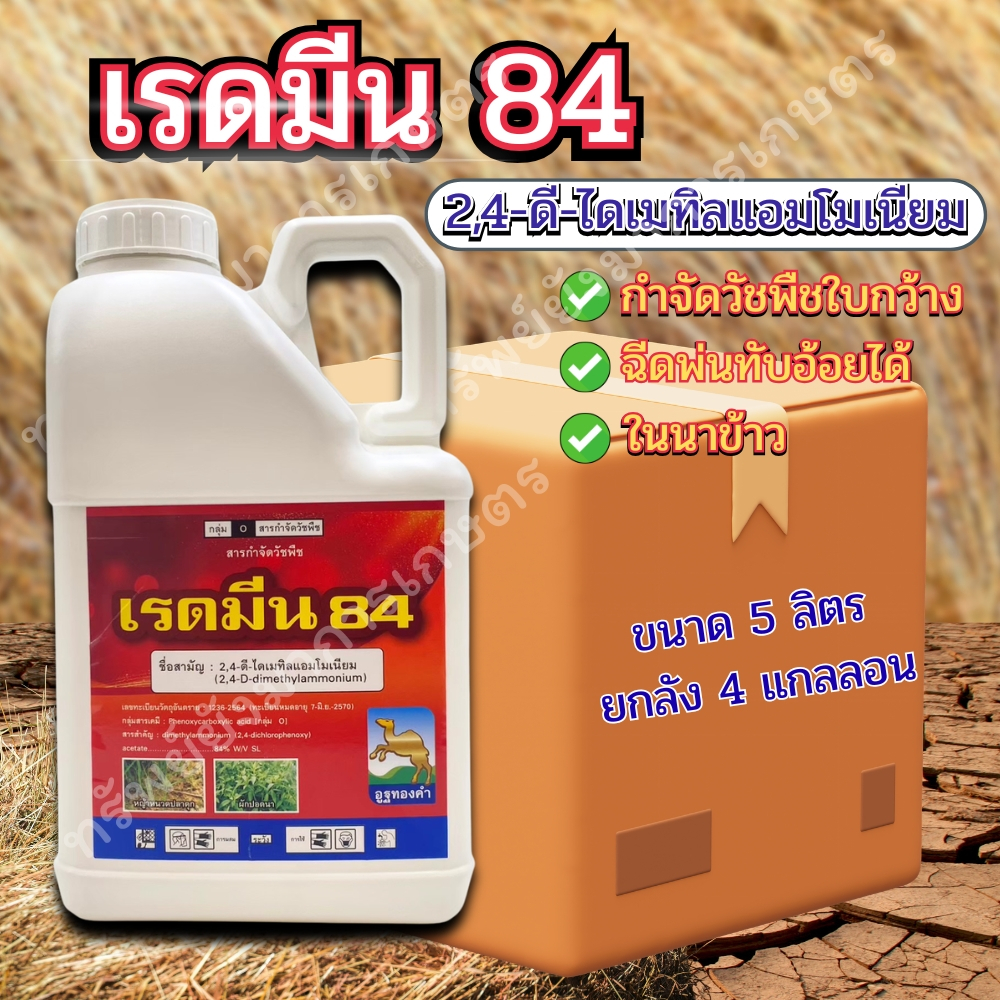 ยกลัง 4 แกลลอน เรดมีน 84  2 4 - ดี - ไดเมทิลแอมโมเนียม ขนาด 5ลิตร ตราอูฐทองคำ  กำจัดวัชพืชใบกว้างและประเภทกก ทูโฟดี