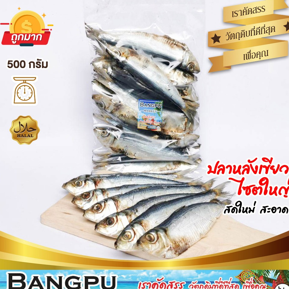 🐟 ปลาหลังเขียวใหญ่ ถอดเกล็ด ตากแห้ง 0.5 kg. ปลาสองแดด ไร้เกล็ด ขนาดใหญ่ Tuyo Dried fish (ปลาหลังเขียวเค็ม ปลาเค็มไม่มาก
