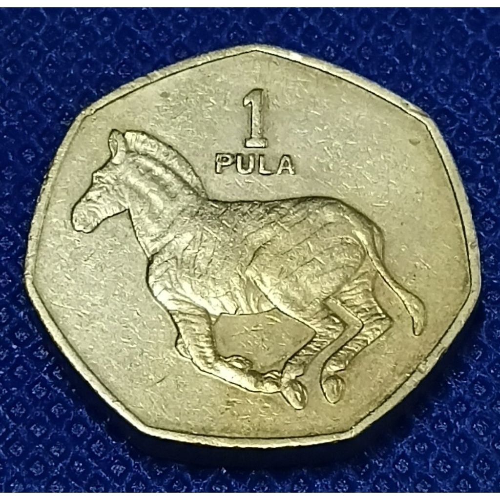 เหรียญบอตสวายา 1 Pula 1991(171)