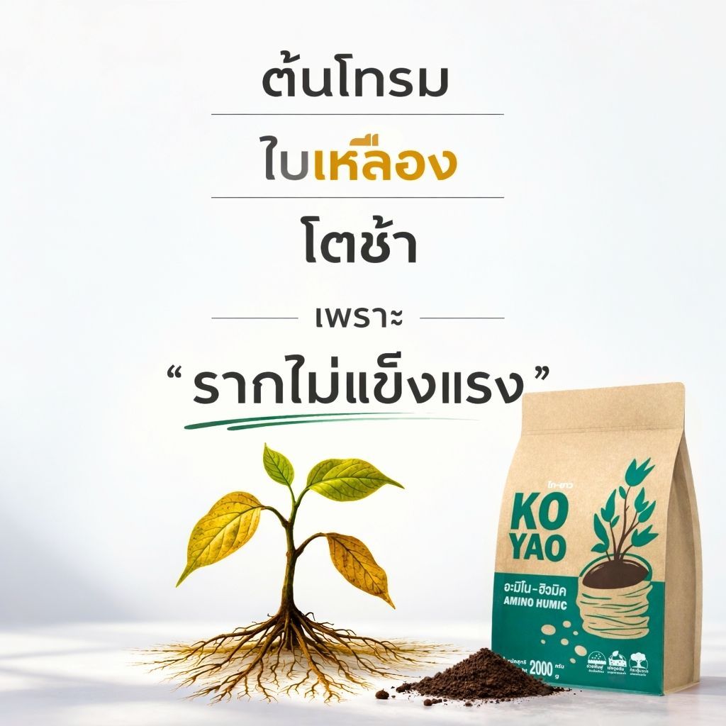 โกยาว กรดฮิวมิคเข้มข้น ปุ๋ยพืชทุกชนิด ปุ๋ยบำรุงดิน เร่งราก โตไว ใบเขียว ใช้กับผัก ไม้ดอก ไม้ผล บอนสี