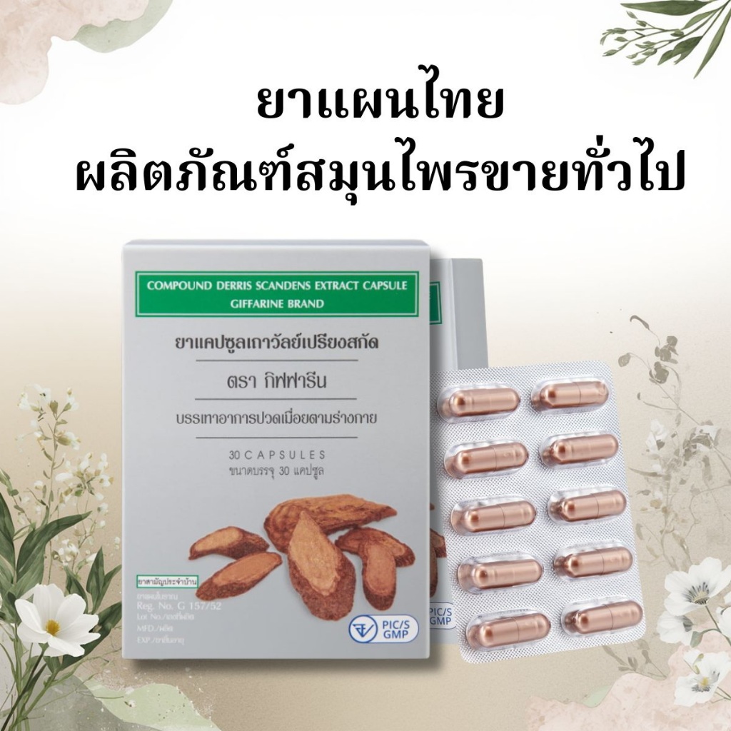 เถาวัลย์เปรียง ปวดตามข้อ ปวดต้นคอ บ่า ไหล่ แขน รูปที่ 4