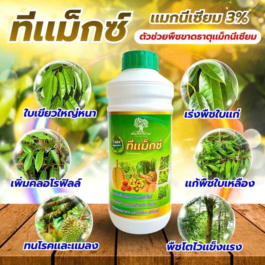ทีเเม็กซ์ เเมกนีเซียมเข้มข้น 3% ขนาด 1 ลิตร ใบเขียวเข้ม ใบใหญ่หนา เร่งพืชใบเเก่ไว เพิ่มคลอโรฟิลล์ เเก้พืชใบเหลือง