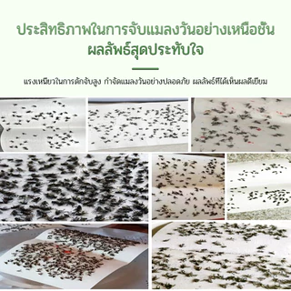 กาวดักแมลงวัน กาวดักแมลงวัน ใช้งานง่าย กาวแน่น กาวเต็มแผ่น มีสารล่อแมลง ฆ่าแมลงวัน