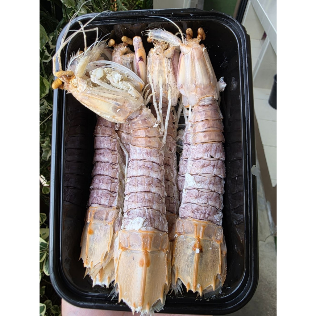 กั้งแก้วแกะ และกั้งไข่แกะ นึ่งสุกแล้ว พร้อมทาน  1กล่อง มี7-8ตัว ต่อกล่อง