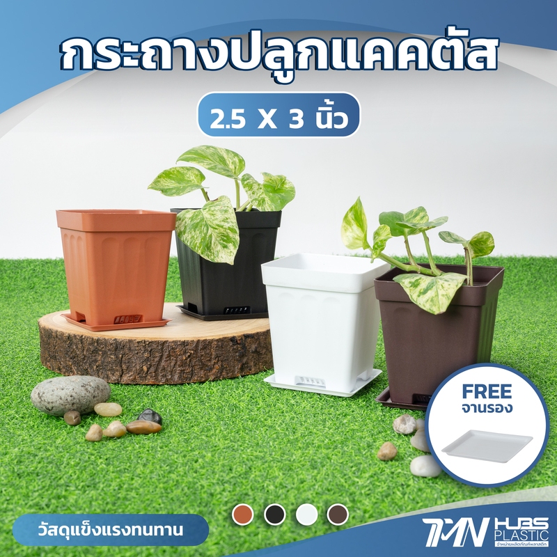 กระถางต้นไม้พลาสติก ทรงสี่เหลี่ยมพร้อมจานรอง ขนาด 2.5 นิ้ว กระถางต้นไม้แคคตัส มี 4 สี ราคาโรงงาน