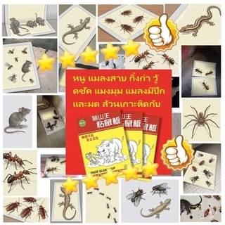 10PCS กาวดักหนู แผ่นกาวดักหนูสำเร็จรูป พร้อมถาด ที่ดักหนู ไม่มีกลิ่น หนูตายอยู่กับที่ ไม่ต้องหาซาก กาวดักหนู กับดักหนู