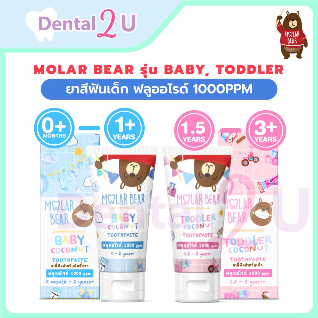 ใหม่ 🦷 Molar Bear - ยาสีฟันเด็ก ฟลูออไรด์ 1000ppm รุ่น Baby, Toddler 40 กรัม ยาสีฟันที่ทันตแพทย์แนะนำ