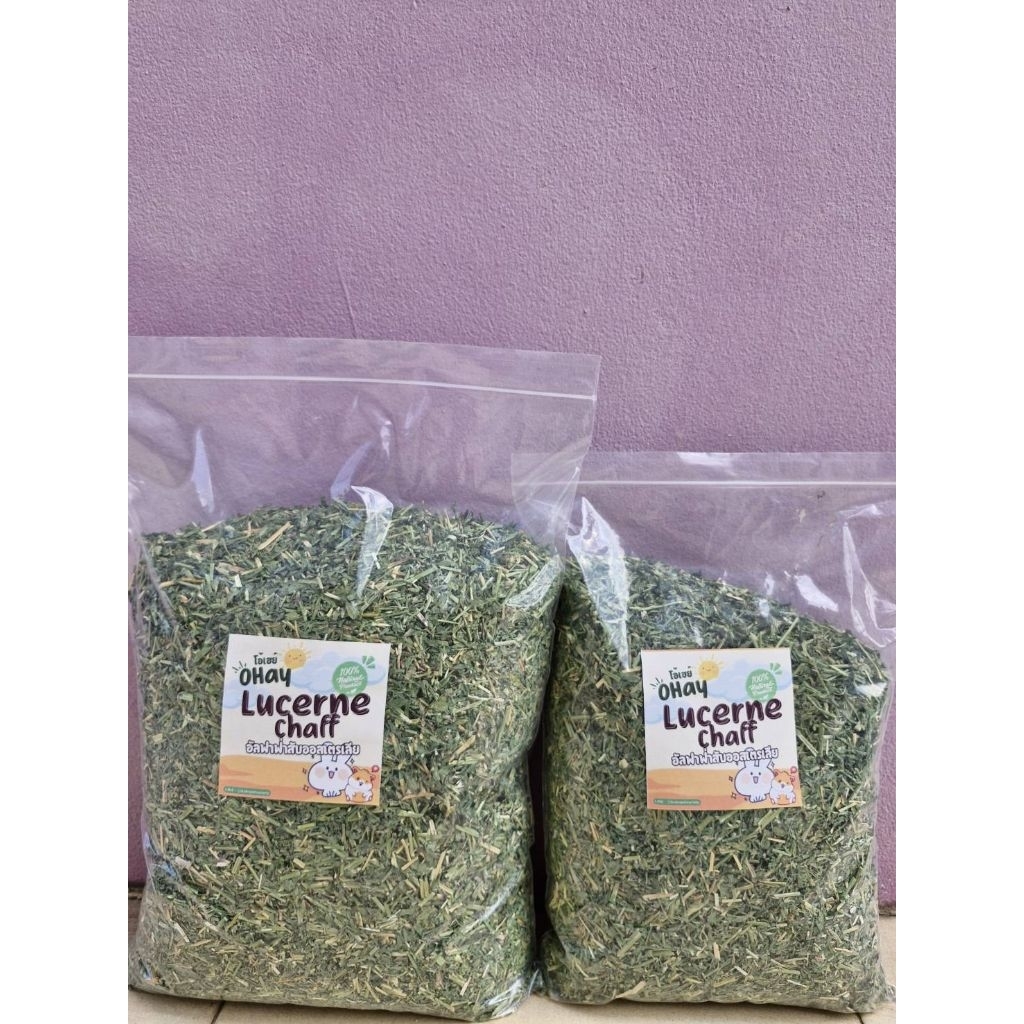 Ohay อัลฟาฟ่าสับ 95 บาท เขียวมากใบเยอะ ไม่เขียวคืนเงินร่อนฝุ่น ล้อตใหม่ อัลฟาฟ่าสับพรีเมียมนำเข้าจากออสเตรเลีย ราคา ถูกที่สุด ดีลบีเคเค แกลเลอรีภาพที่ 7