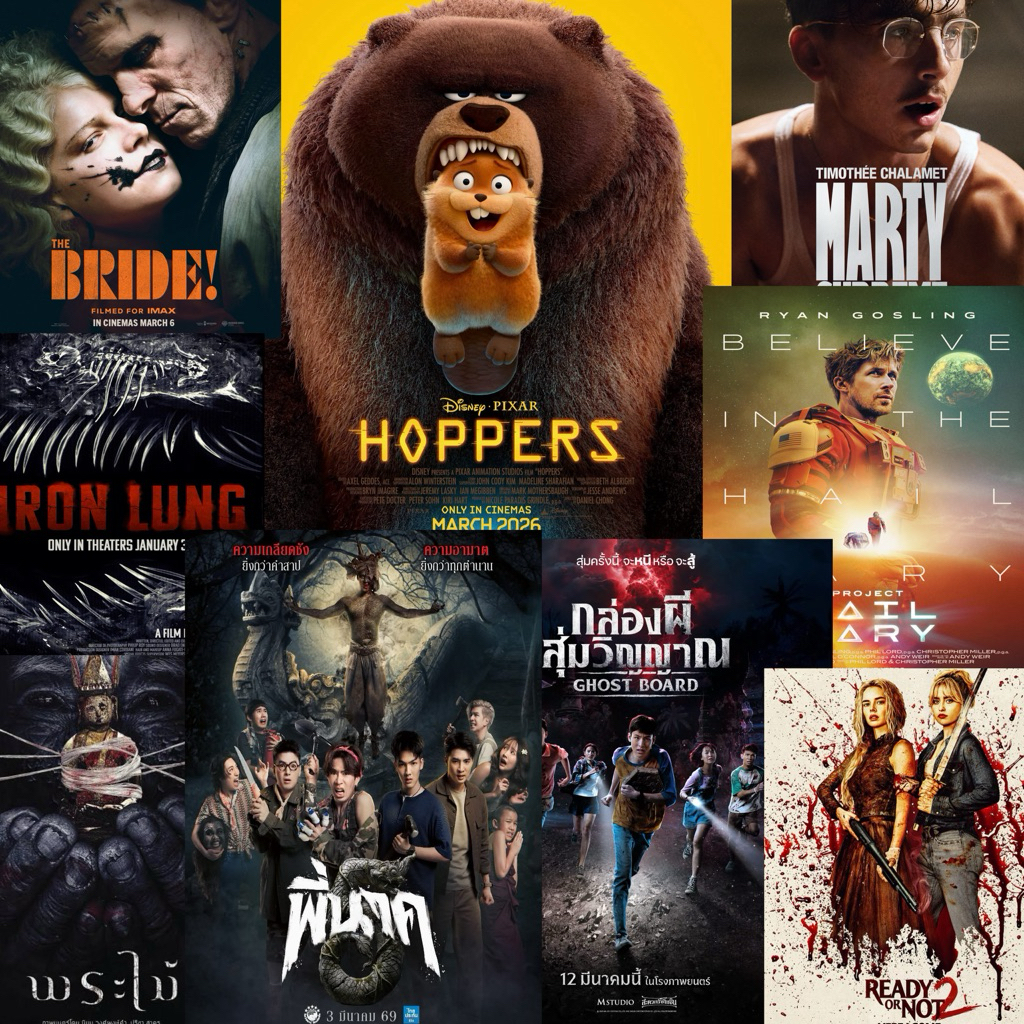 ตั๋ว Major ระบบปกติ IMAX 4DX ทุกสาขา