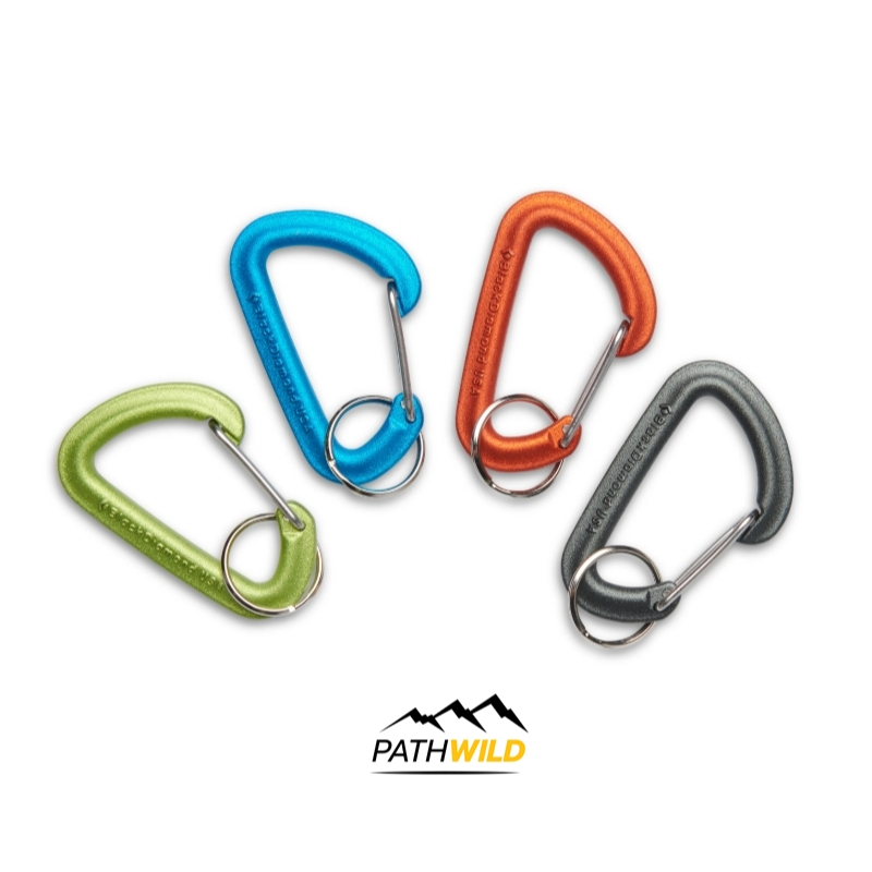 BLACK DIAMOND MICRON ACCESSORY CARABINER SMALL คาราบิเนอร์ (จัดส่งคละสี)