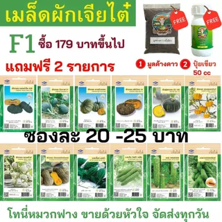 เมล็ดผัก เจียไต๋ F1 ซองละ 25 บาท ซื้อยอด 179 บาทขึ้นไปแถมฟรีมูลค้างคาว+ปุ๋ยเขียว50cc