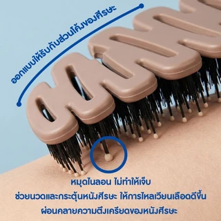 หวีขนหมูป่า ลดผมร่วง ลดผมชี้ฟู แก้ปัญหาผมพันกัน ถนอมเส้นผม กำจัดรังแค ใช้ได้ทุกสภาพผม ช่วยให้ผมมีวอลุ่ม
