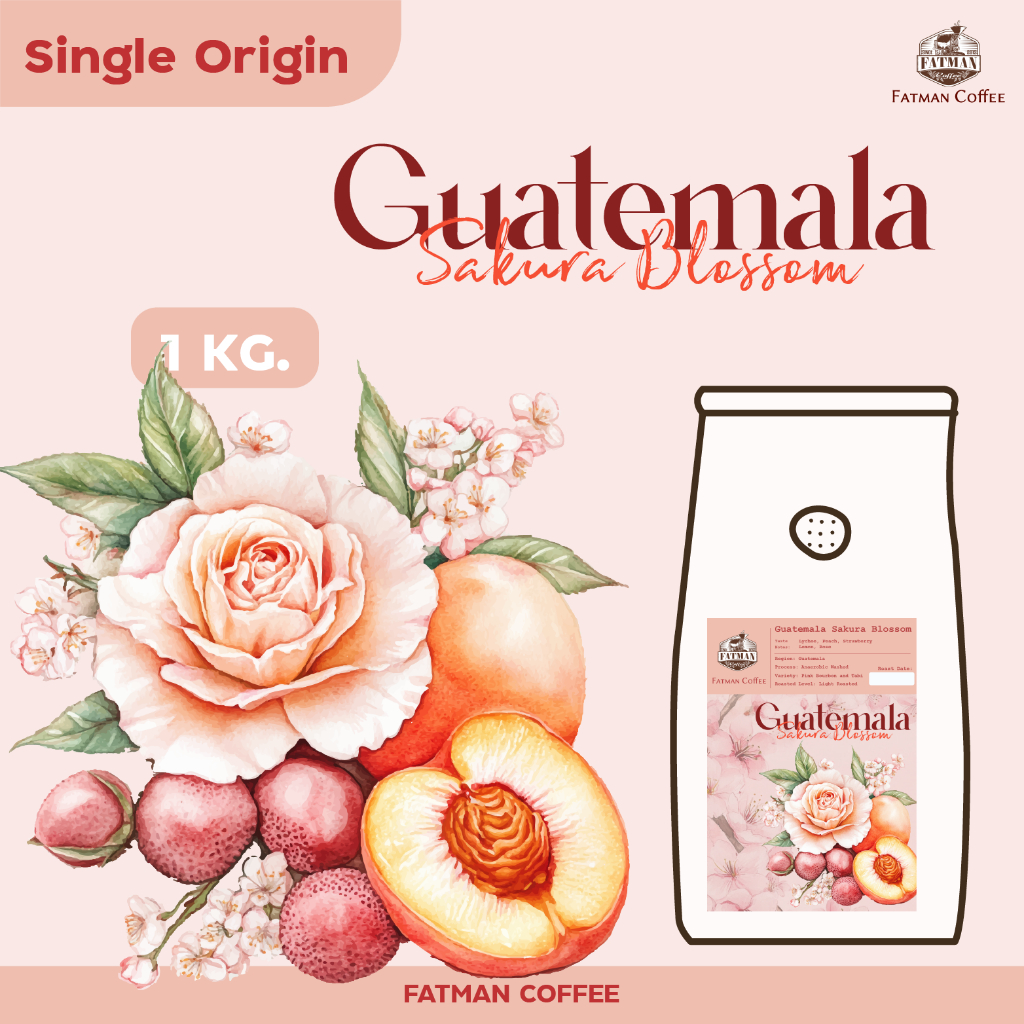 เมล็ดกาแฟคั่วอ่อน ราคาส่ง 1-3 Kg. Guatemala Sakura Blossom (Exotic coffee)