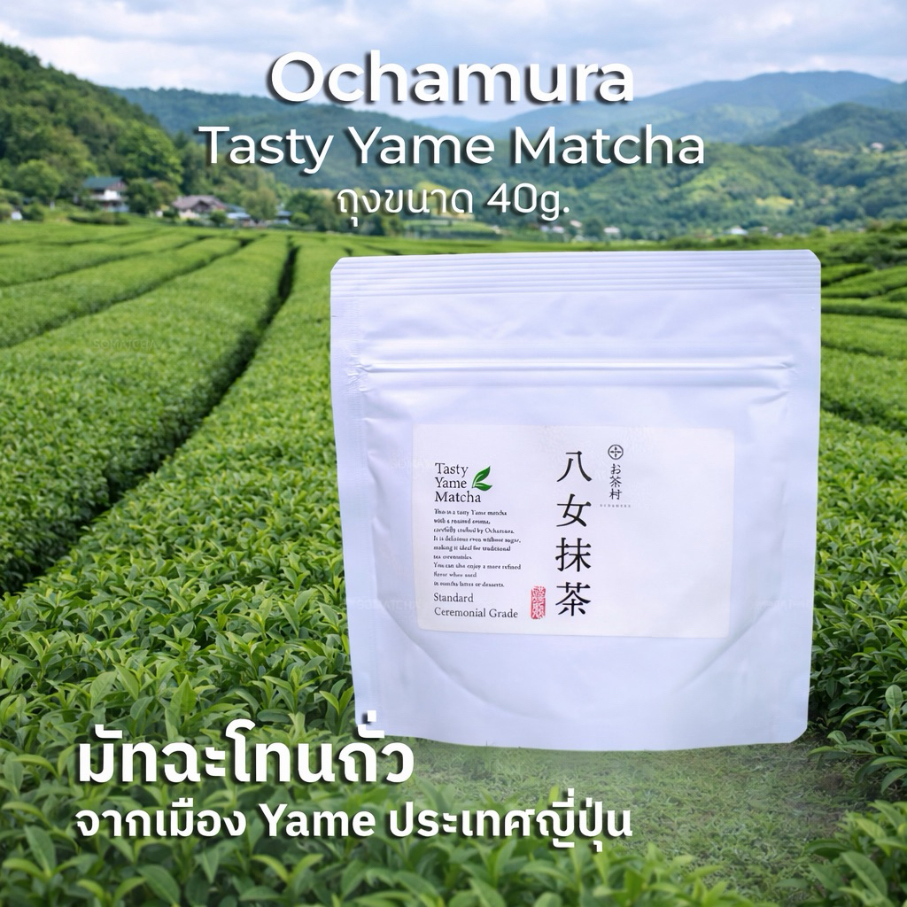 มัทฉะโทนถั่ว Ochamura Tasty Yame Matcha🇯🇵🍵Ceremonial Grade ผงชาเขียวญี่ปุ่นจากยาเมะ แท้100%พร้อมส่ง