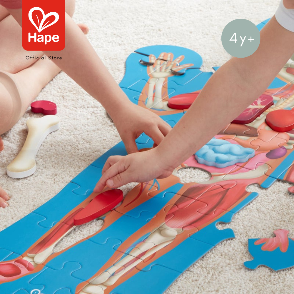 Hape Human Body Puzzle	จิ๊กซอว์ อะไรในร่างกายหนู ยาว 1m เท่าขนาดคน	4Y+ รูปที่ 5