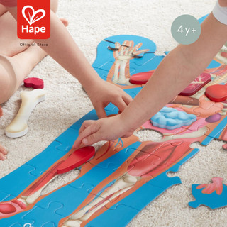 Hape Human Body Puzzle	จิ๊กซอว์ อะไรในร่างกายหนู ยาว 1m เท่าขนาดคน	4Y+ รูปที่ 5