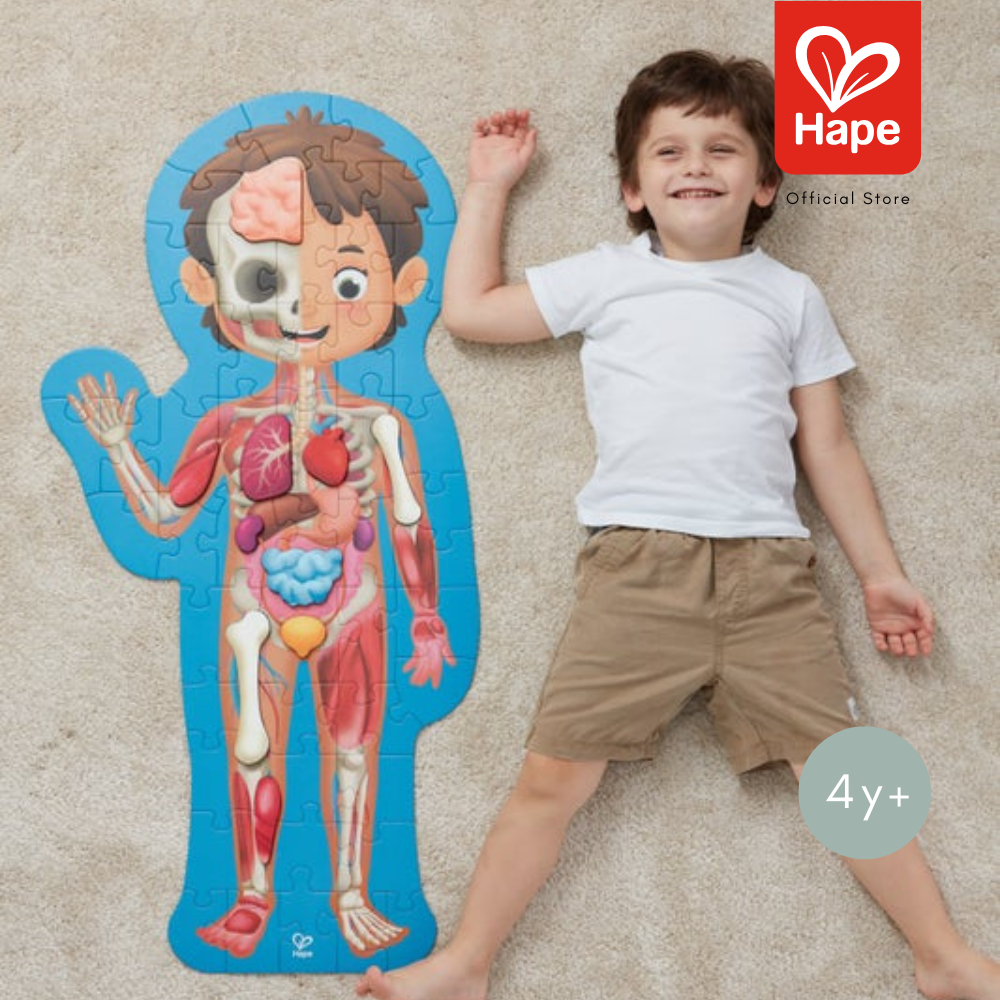 Hape Human Body Puzzle	จิ๊กซอว์ อะไรในร่างกายหนู ยาว 1m เท่าขนาดคน	4Y+ รูปที่ 3