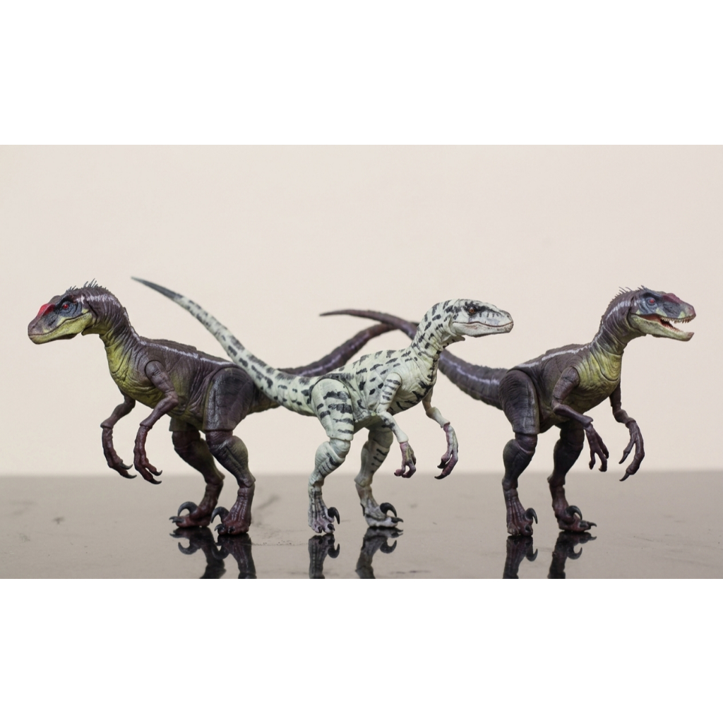 Velociraptor Action figure 1/35 scale