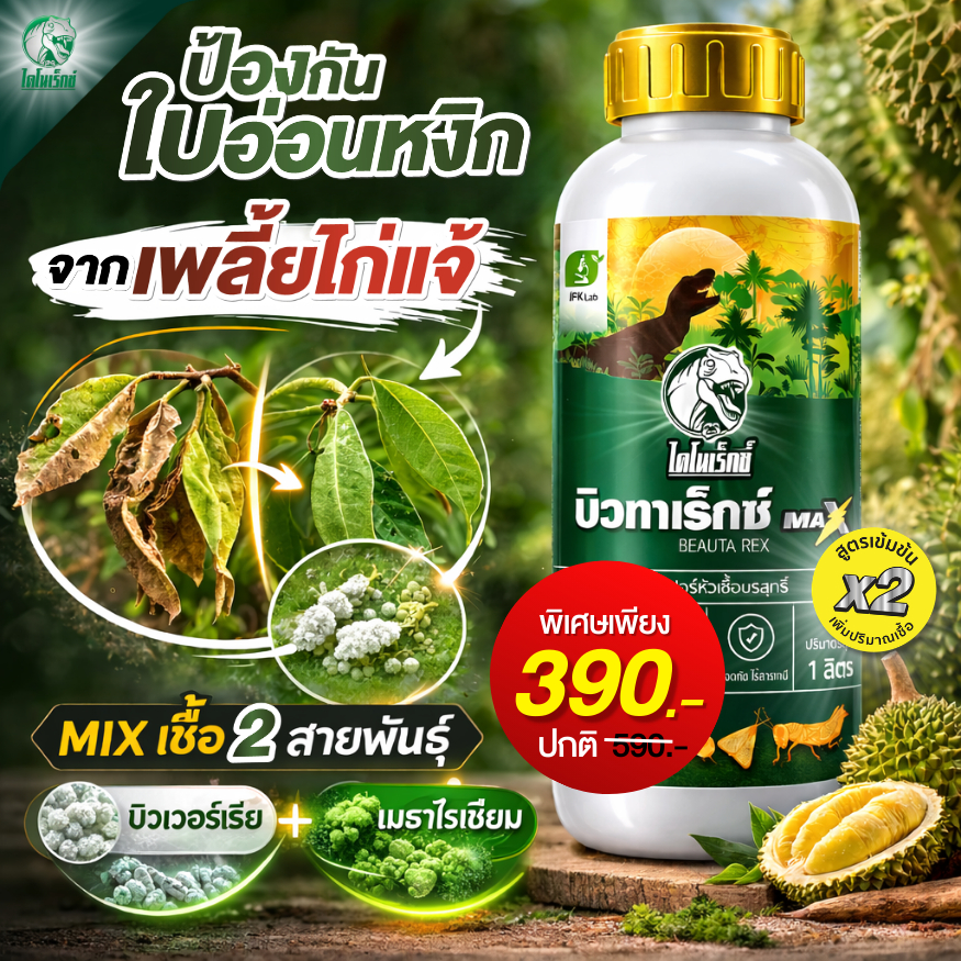ยาฆ่าเพลี้ยไก่แจ้ ป้องกันใบหงิก ใบงอ แมลงดูดน้ำเลี้ยง บิวทาเร็กซ์แม็กซ์น้ำ รวม 2 สูตรในขวด เชื้อบิวเวอร์เรีย เมธาไรเซียม