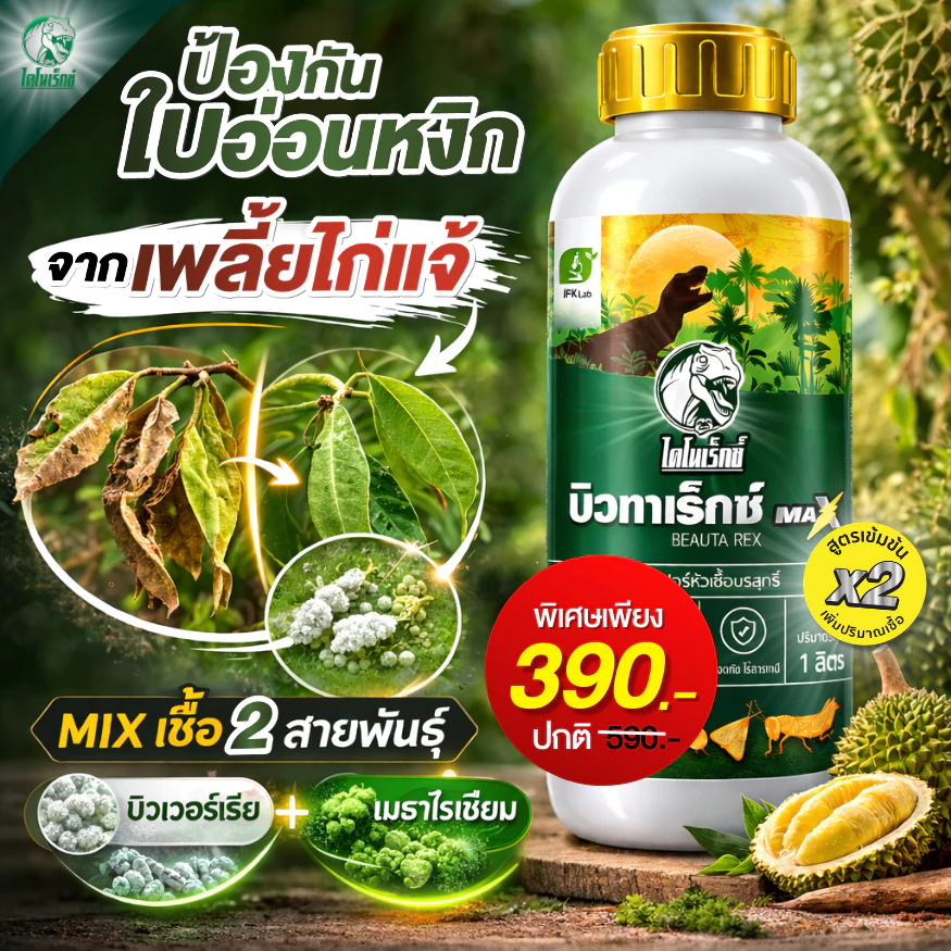 ยาฆ่าเพลี้ยไก่แจ้ ป้องกันใบหงิก ใบงอ แมลงดูดน้ำเลี้ยง บิวทาเร็กซ์แม็กซ์น้ำ รวม 2 สูตรในขวด เชื้อบิวเวอร์เรีย เมธาไรเซียม