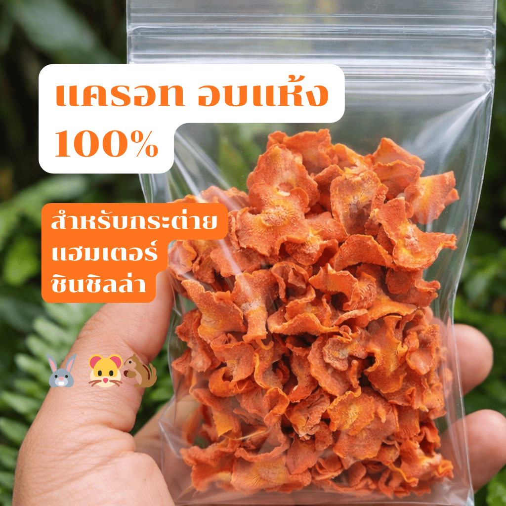 แครอทอบแห้ง ธรรมชาติ 100% ขนมทานเล่นสำหรับกระต่าย แฮมสเตอร์ และสัตว์ฟันแทะอื่นๆ
