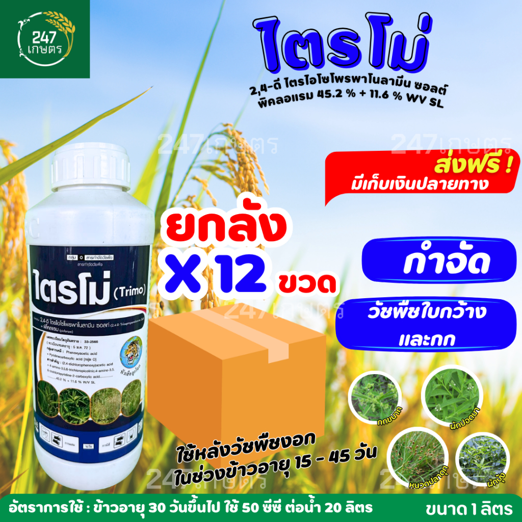 **ยกลัง12ขวด**ไตรโม่ 2,4ดี+พิคลอแรม 1 ลิตร กำจัดวัชพืชใบกว้าง กก หนวดแมว แห้วหมู ข้าวไม่แดง