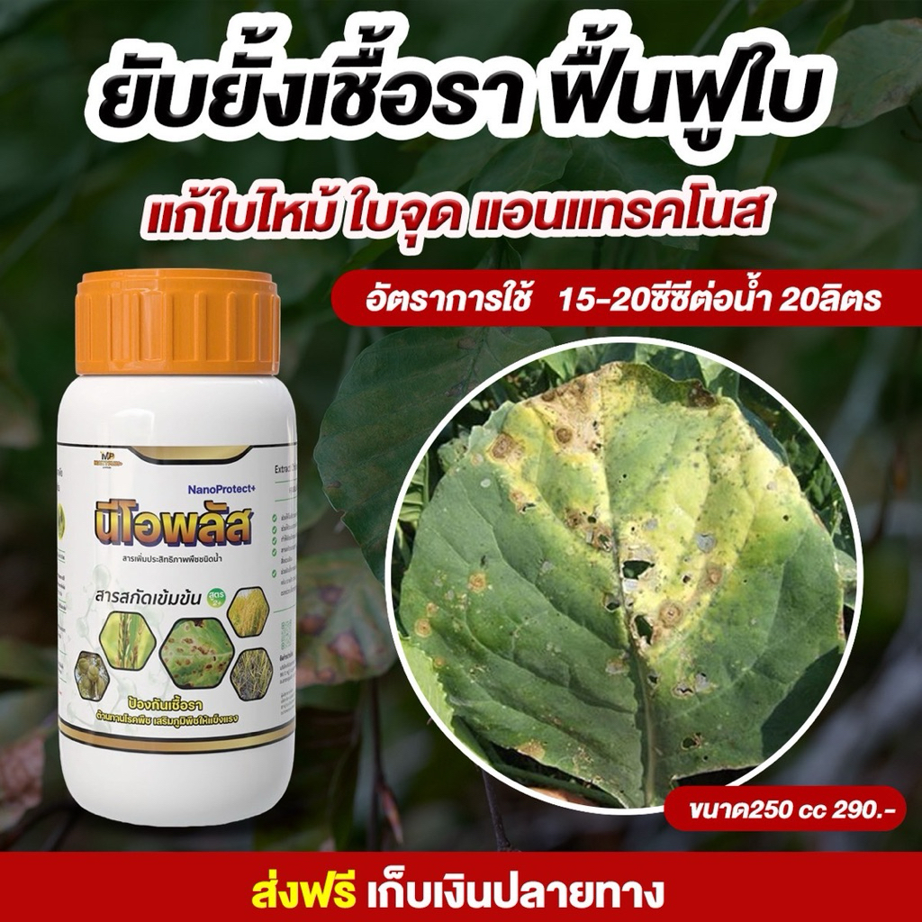 นีโอพลัส 250cc แก้ปัญหาเชื้อราในพืช โรคราแป้ง โรคแอนแทรคโนส โรคเน่าคอดิน ราน้ำค้าง ราสนิม จบปัญหาเชื้อรา ปลอดภัย