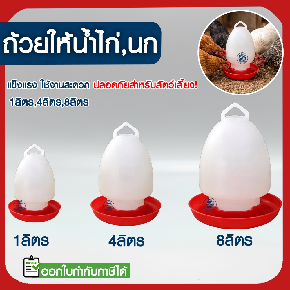 *ค่าส่งถูก* ขวดน้ำไก่ ถังน้ำไก่ ที่ใส่น้ำสำหรับเลี้ยงไก่ กระติกน้ำไก่ เลี้ยงไก่ ขวดน้ำนก เลี้ยงไก่ เลี้ยงนก outlet