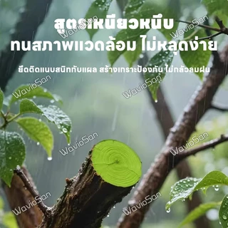 🌲สมานแผลเร็ว🌲ยาทาแผลต้นไม้ ทาแผลต้นไม้ ยาทาแผลต้นไม้ป้องกันเชื้อรา เคลือบปกป้องแผล ใช้ได้หลายพืช