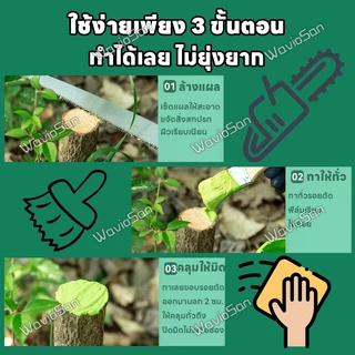🌲สมานแผลเร็ว🌲ยาทาแผลต้นไม้ ทาแผลต้นไม้ ยาทาแผลต้นไม้ป้องกันเชื้อรา เคลือบปกป้องแผล ใช้ได้หลายพืช