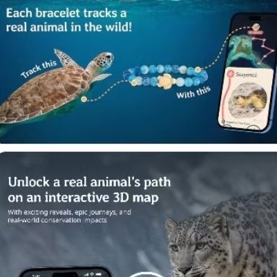 Fahlo bracelet Tracking animal