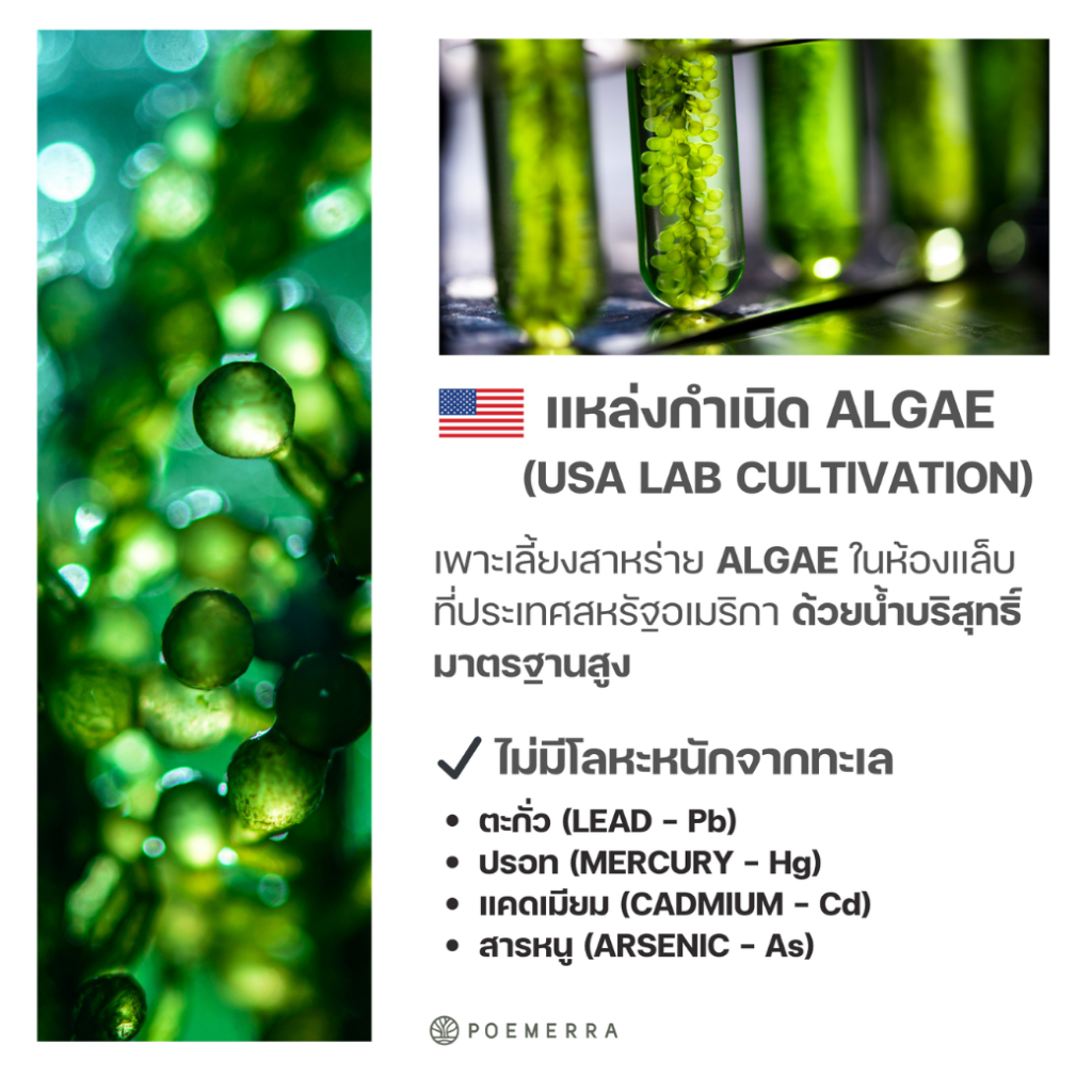 น้ำมันโอเมก้า 3 จากสาหร่าย Poemerra Daily Algae Omega-3 EPA+DHA 45 แคปซูล รูปที่ 3