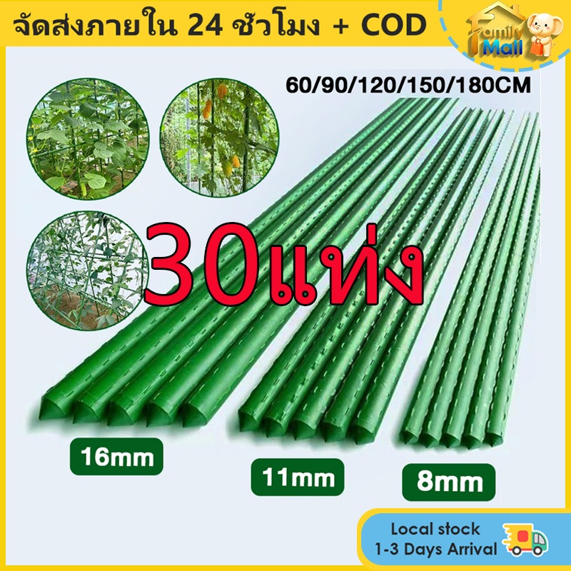 30 แท่ง ไม้ค้ำยันต้นไม้ หลักไม้ค้ำ เสามะเขือเทศ ในห่อ หลักไม้เลื้อย 60-150 ซม. หนา 8-20 มม.ค้างต้นไม้ ซุ้มต้นไม้ ค้างผัก