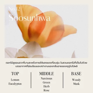 Hetras Hotel Therapy Body Lotion Soosunhwa โลชั่นบำรุงผิว กลิ่นซูซุนฮวา found & found