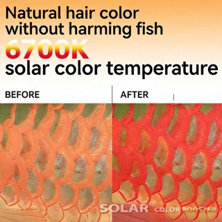 หลอดไฟ SOLAR Color Booster ของแท้💯 ไฟเทรนนิ่งปลา