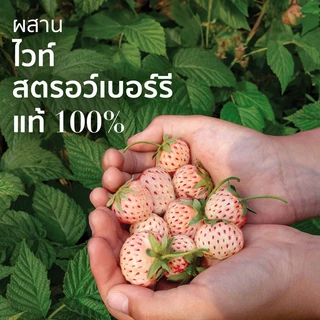 [แพ็คคู่สุดคุ้ม] Herbal Essences เฮอร์บัล เอสเซ้นส์ คลีน ไวท์ สตรอเบอรี่ &สวีทมินท์ แชมพู+ครีมนวด 400 มล