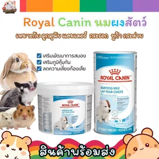 [HiHamster] Royal Canin Puppy Milk นมผงลูกสุนัข นมแทนนมแม่ ใช้ได้กับ แฮมสเตอร์ ชูก้า กระต่าย ขนาดแบ่งขาย