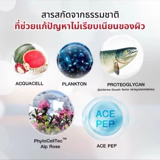 (ครีมพีพี 3 + เซรั่มพีพี 2) PP NAT NAD ชุดบำรุงผิวให้แลดูอ่อนกว่าวัยอย่างเป็นธรรมชาติ Pureplus