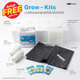 Hydro-ONE (ไฮโดร-วัน) | ปุ๋ย AB ขวดเดียว ไม่ต้องผสม! +Chelation ดูดซึมดี ไฮโดรโปนิกส์(แถมชุดปลูกฟรี)