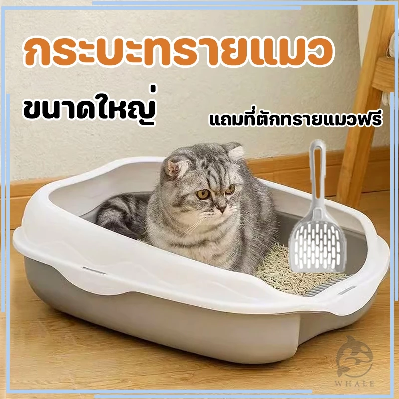 กระบะทราย กระบะทรายแมว ห้องน้ำแมว รุ่นขอบสูงมีตะแกรงดักทราย พร้อมที่ตักทราย ห้องน้ำแมว กระบะแมว
