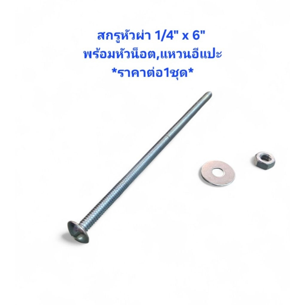 สกรูหัวผ่า 1/4" x 6" พร้อมตัวเมียและแหวนอีแปะ *ราคาต่อ1ชุด* สกรู2หุน ยาว 6นิ้ว ตัวผู้ยาว6นิ้ว น็อตตัวผู้ยาว6นิ้ว
