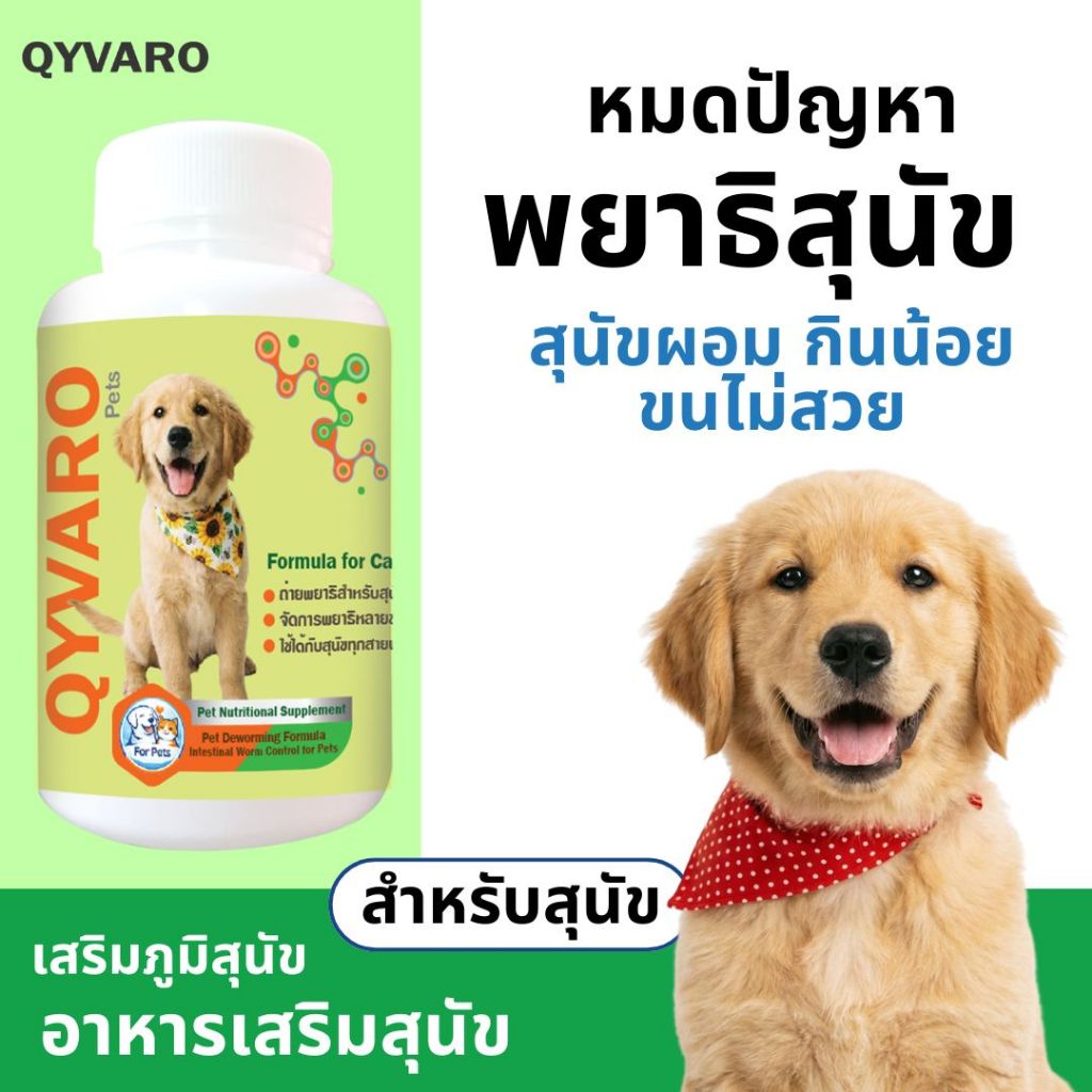 Qyvaro เสริมอาหาร ป้องกันพยาธิสุนัข พยาธิตัวตืด พยาธิแส้ม้า ปรสิตภายในสุนัข