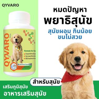 Qyvaro เสริมอาหาร ป้องกันพยาธิสุนัข พยาธิตัวตืด พยาธิแส้ม้า …