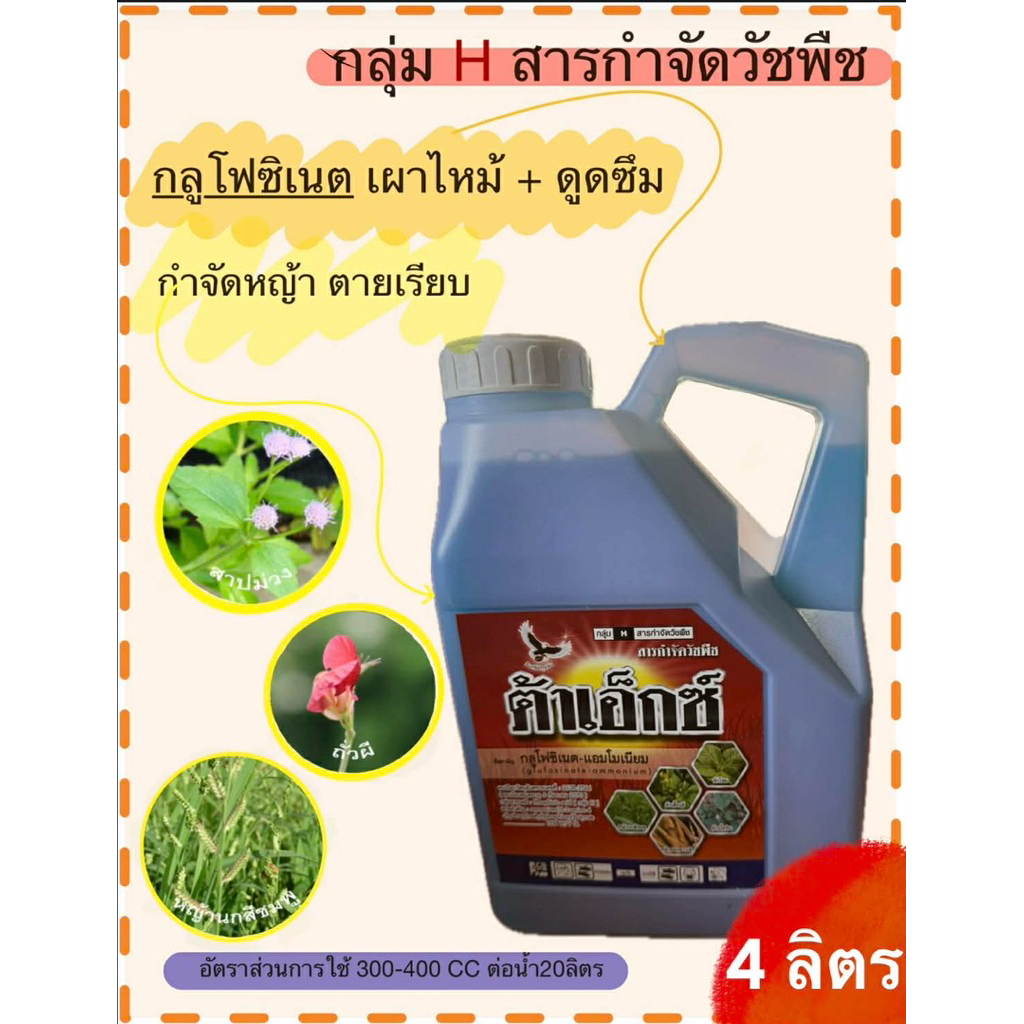 ฮอฟซิเนต (กลูโฟซิเนต) สารกำจัดวัชพืชเผาไหม้กึ่งดูดซึม  ขนาด 4 ลิตร