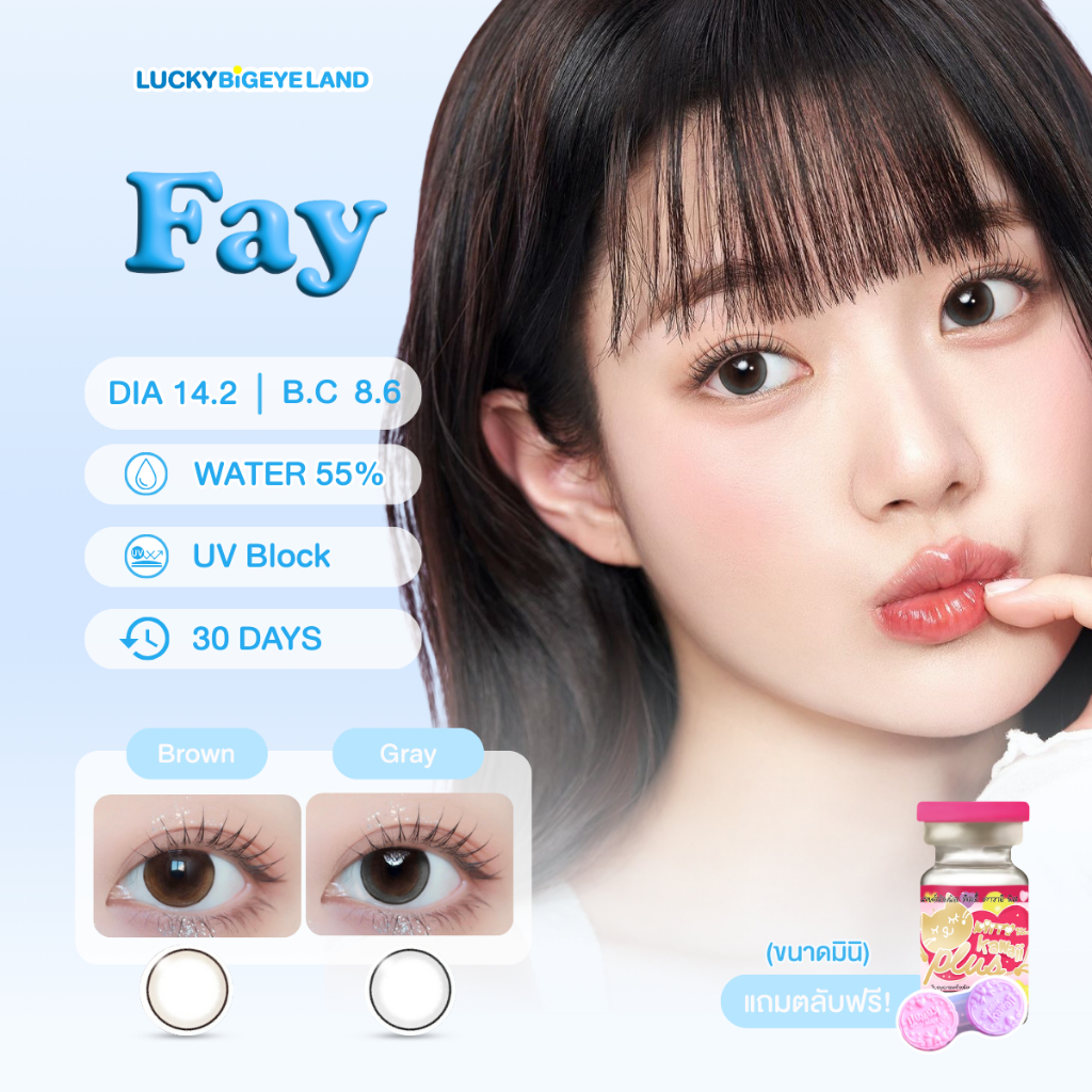 คอนแทคเลนส์ Fay Brown / Gray (Kitty Kawaii) ขนาดมินิ 💙
