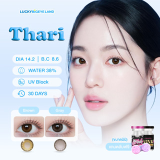 คอนแทคเลนส์ Thari Gray / Brown (Wink Lens) ขนาดมินิ ✨